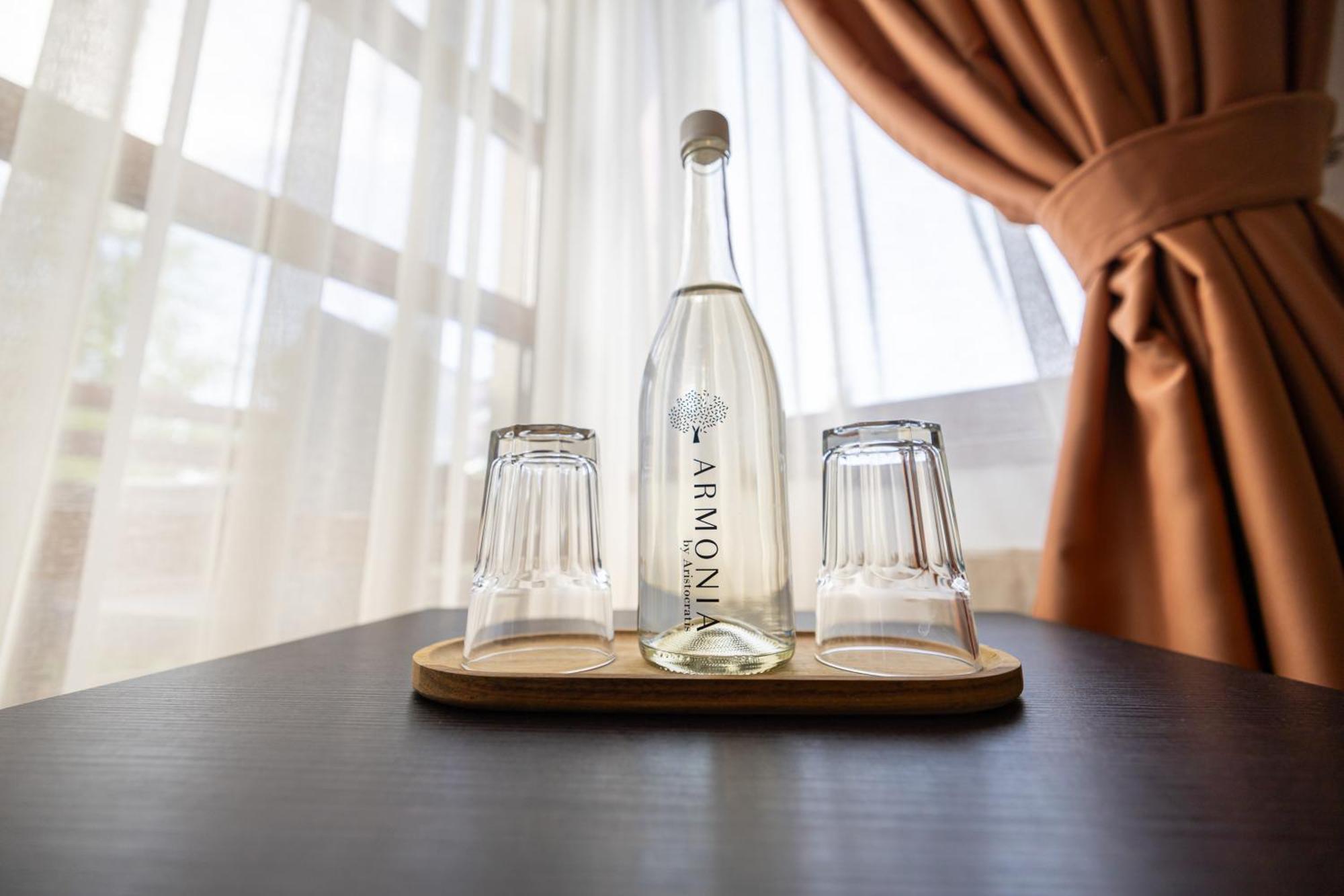 Hotel Armonia By Aristocratis à Targu Neamt Extérieur photo